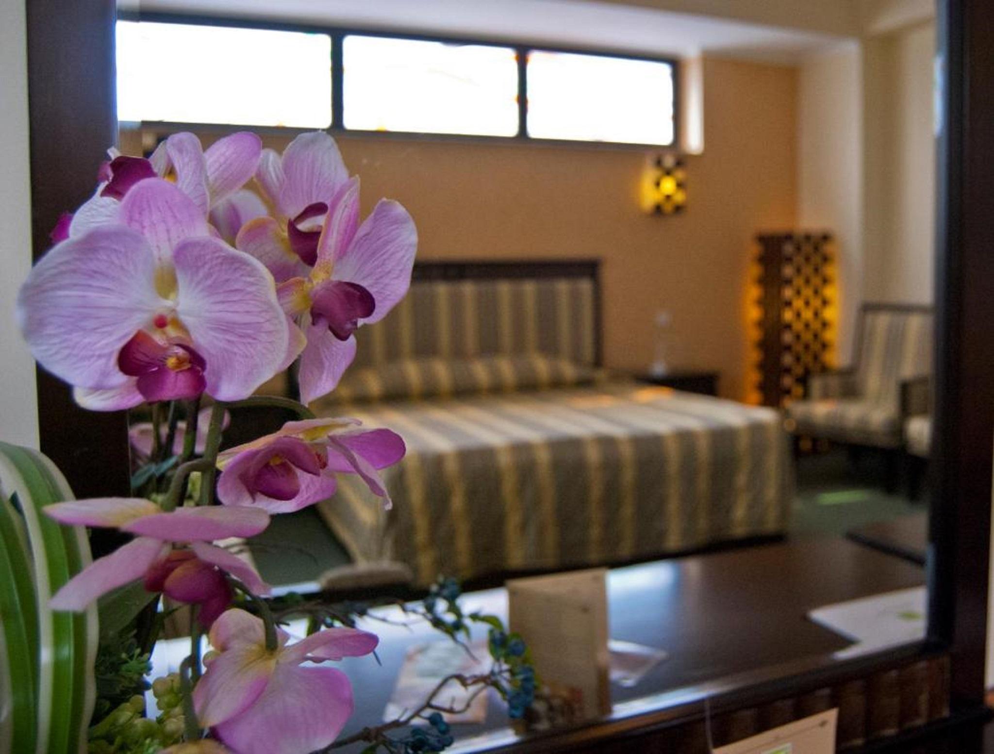 Hotel Tecadra Pipera Екстер'єр фото